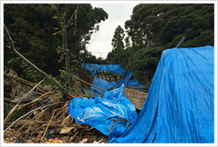 崩壊した県道脇の法面 （9/18酒々井町下岩橋）